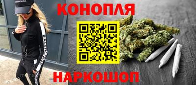 прущие грибы Мариинск